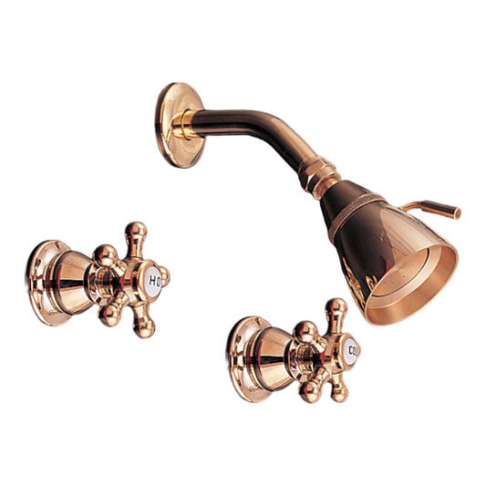 Strom Living Rio Grande Wall Shower Set With Porcelain Hot/Cold Handle and Spout