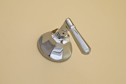 Strom Living Mississippi Shower Control Set with Lever Handle and Solid Brass