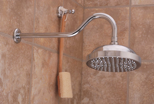 Strom Living Gooseneck Showerhead 8" Diameter with 2.5 GPM