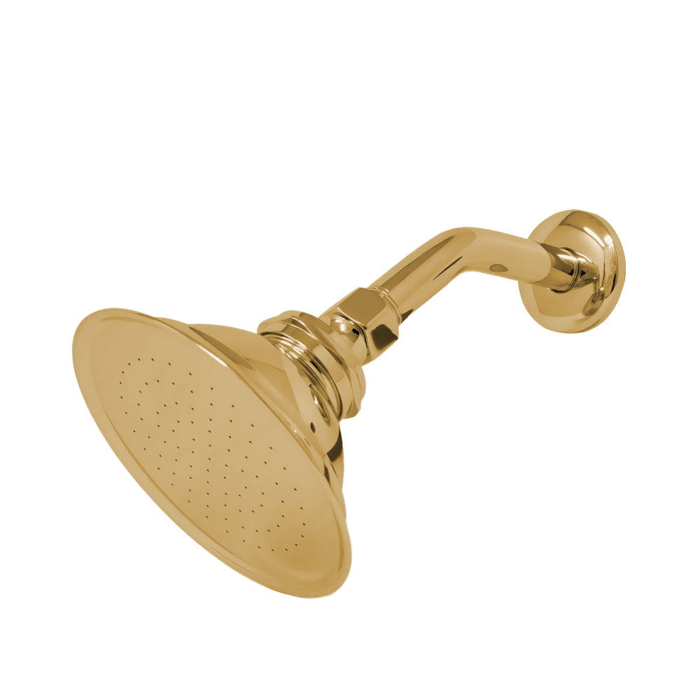 Strom Living Shower Head with 1.75 GPM