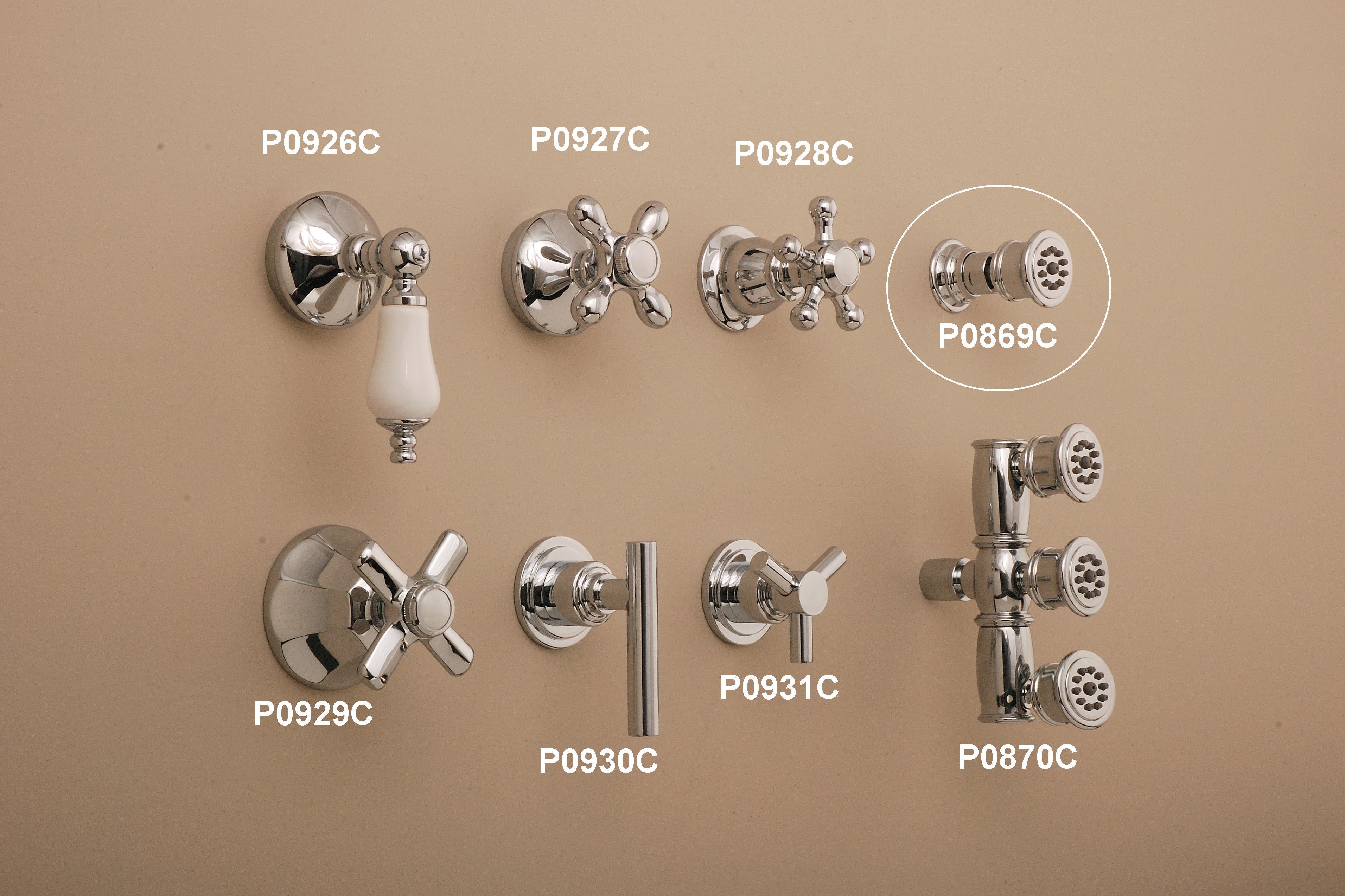 Single Body Spray with Escutcheon and 1/2" IPS Female Inlet P0869 | Strom Living