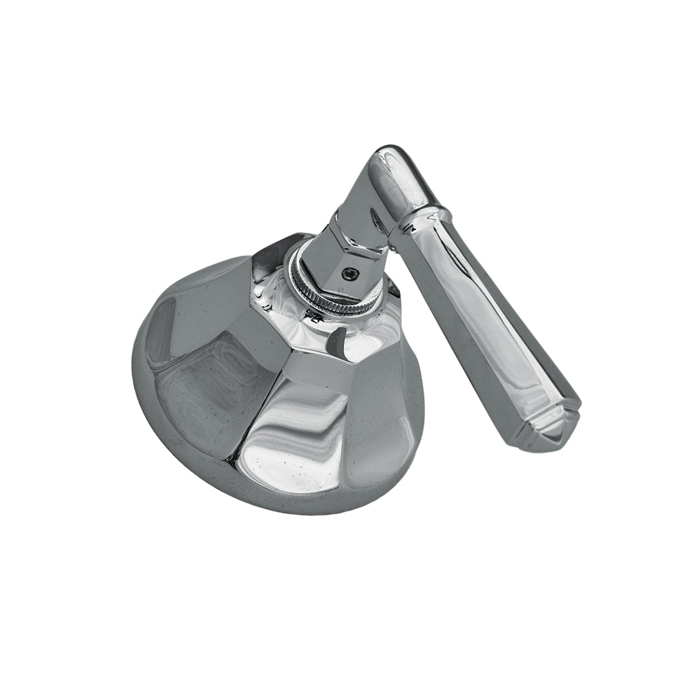 Strom Living Mississippi Shower Control Set with Lever Handle and Solid Brass