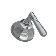 Strom Living Mississippi Shower Control Set with Lever Handle and Solid Brass