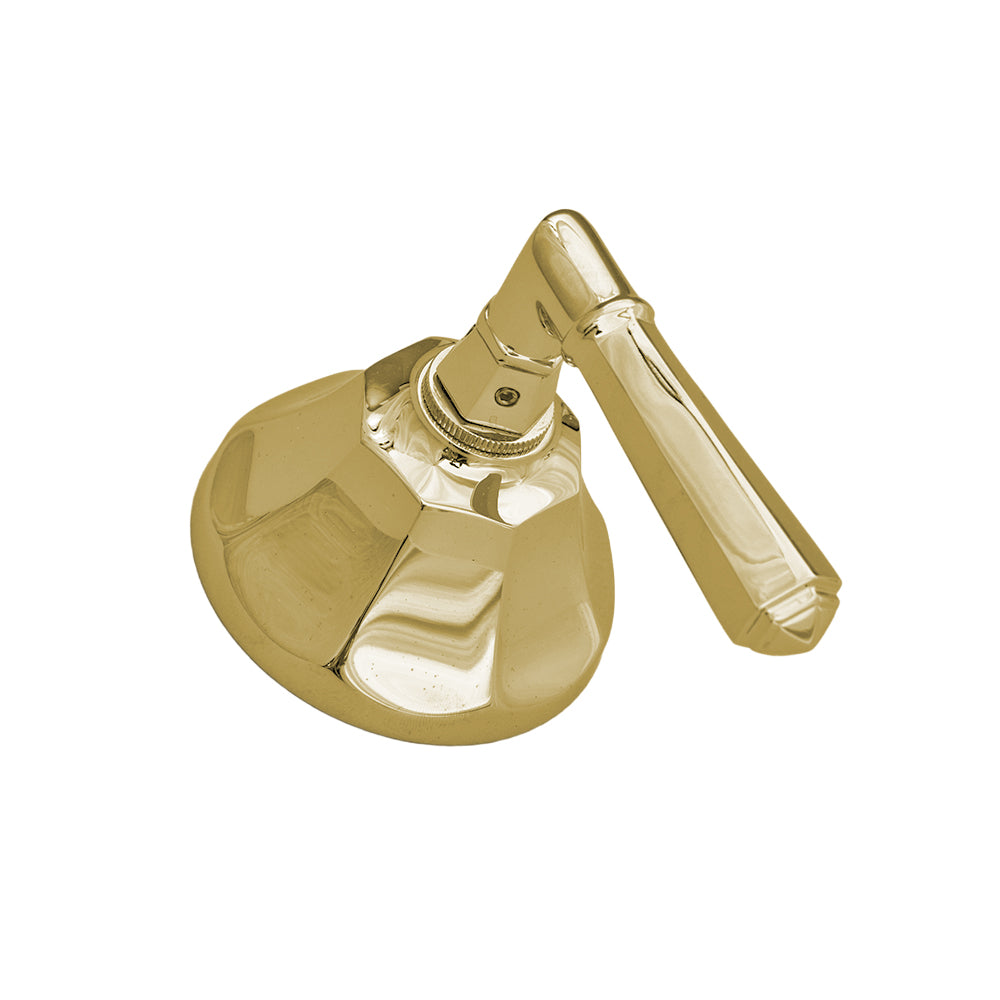 Strom Living Mississippi Shower Control Set with Lever Handle and Solid Brass