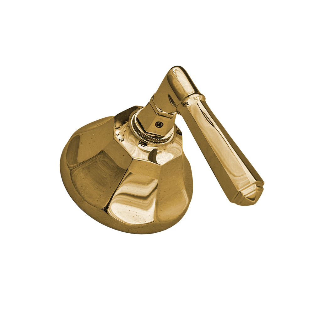 Strom Living Mississippi Shower Control Set with Lever Handle and Solid Brass