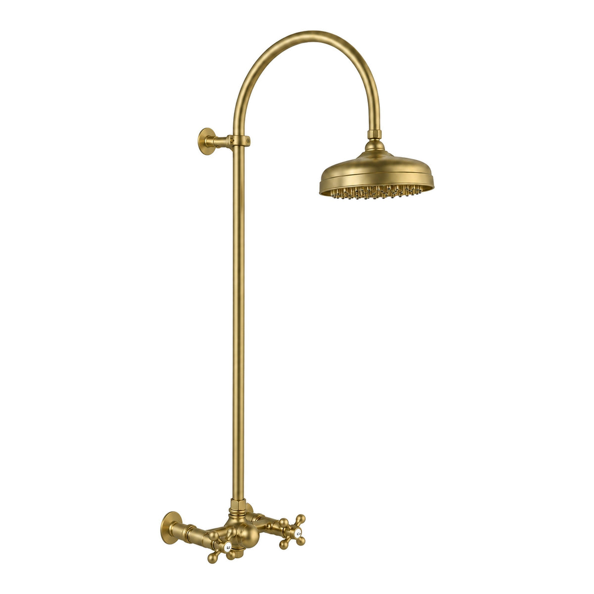 Exposed Shower System with Gooseneck Riser P1093 in Raw Brass