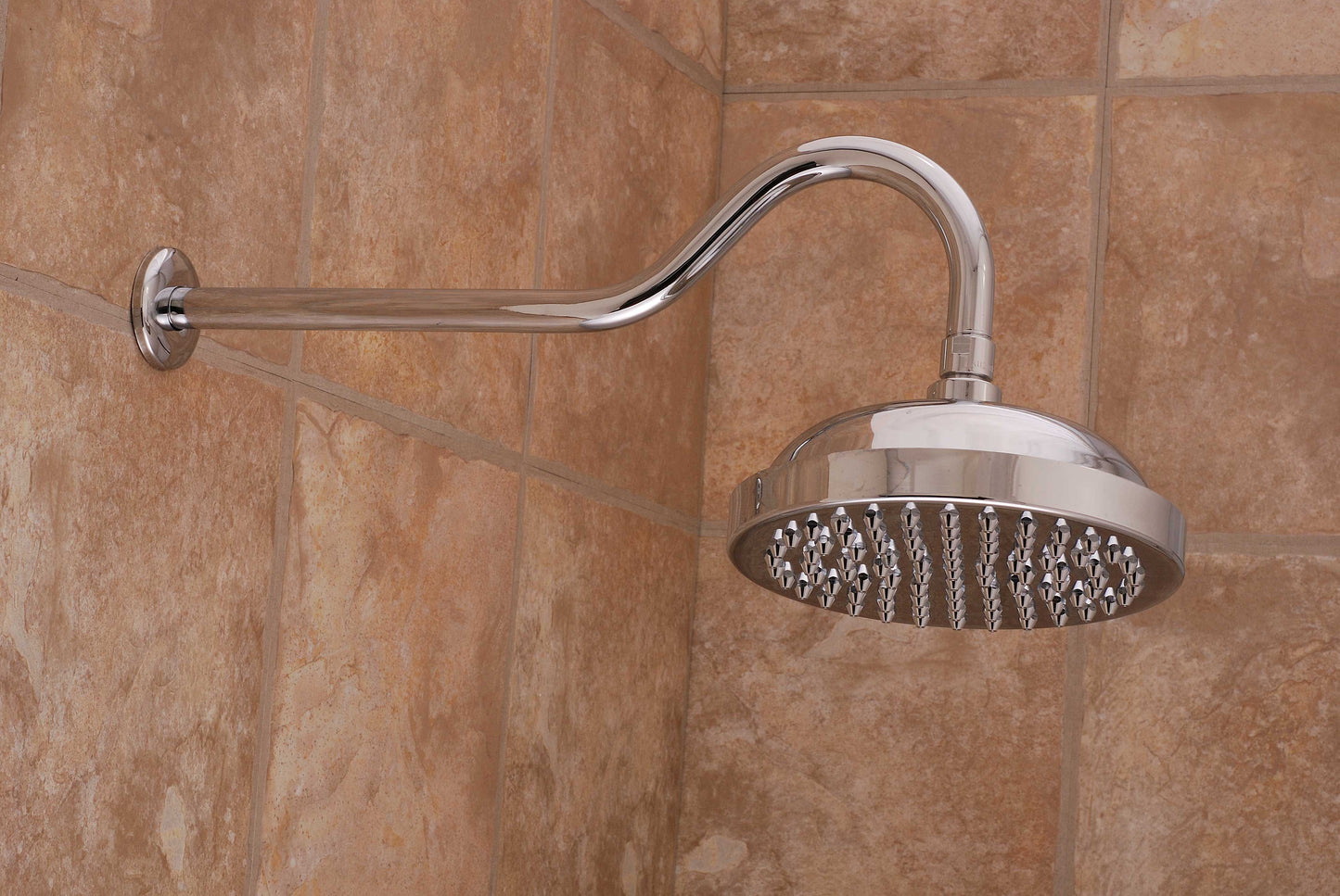 Strom Living Gooseneck Showerhead 8" Diameter with 2.5 GPM
