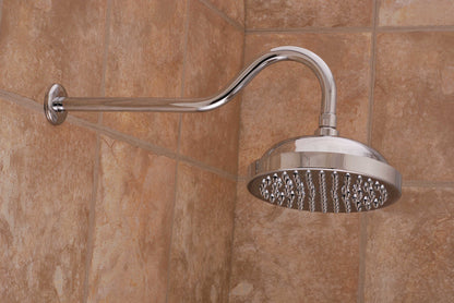 Strom Living Gooseneck Showerhead 8" Diameter with 2.5 GPM